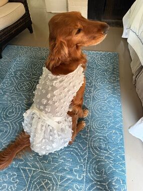 DESIGNER Tulle Dog Dress - 3-D Flowers with Pearls & Satin bow Large Dog EUC